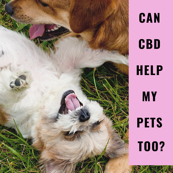 Can CBD help my pets too?
